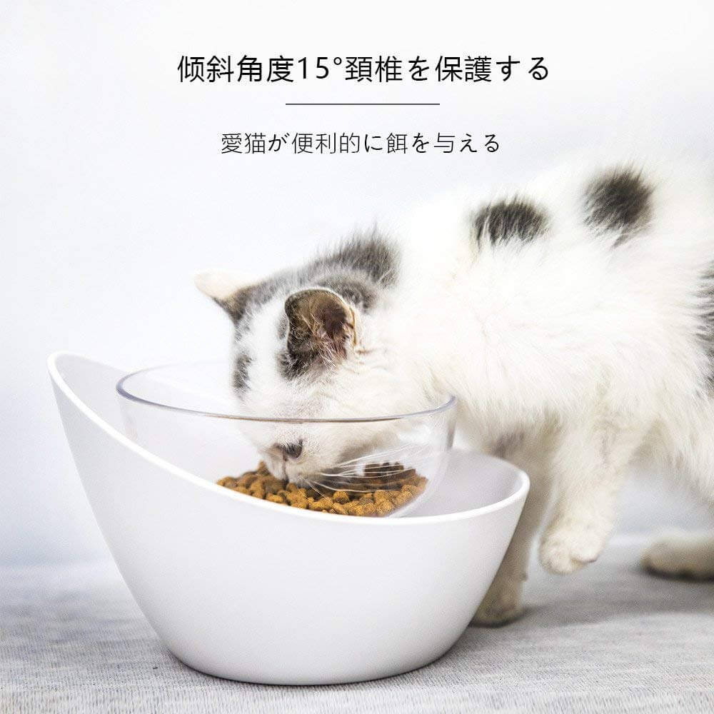 猫の餌皿